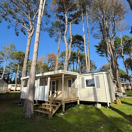 Campsite Mobil 6 A 8 Personnes *