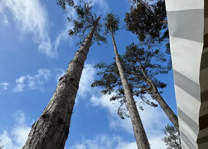 Mobil 6 A 8 Personnes 캠프장